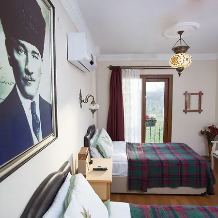 Bed and Breakfast Efes 3*