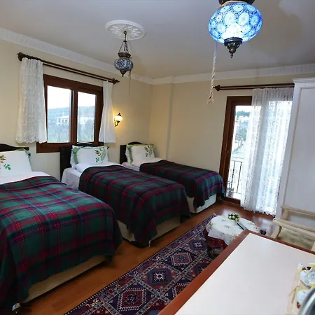 Bed and Breakfast Efes 3*