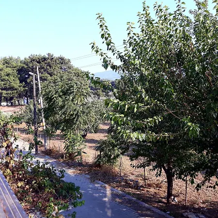 Efes Bed and Breakfast Σελτσούκ
